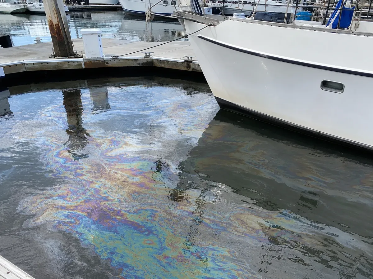 Photo of an oil sheen on the water between moored boats